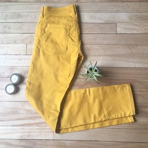 🍋Ann Taylor Pants